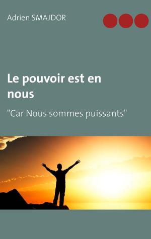 Cover of the book Le pouvoir est en nous by Daniel Perret