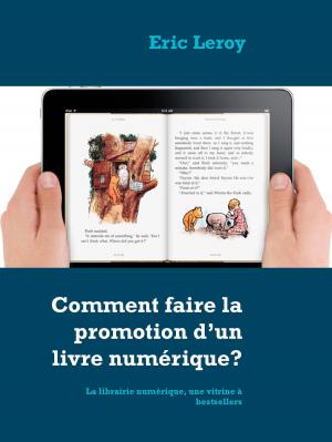 Book cover of Comment faire la promotion d'un livre numérique?