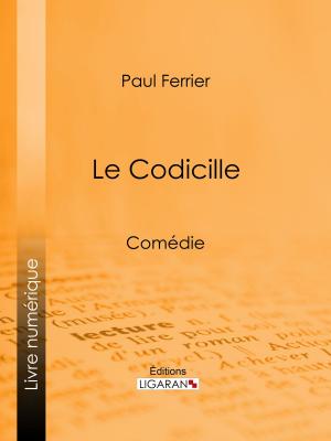 Cover of the book Le Codicille by Ernest Fouinet, Ligaran