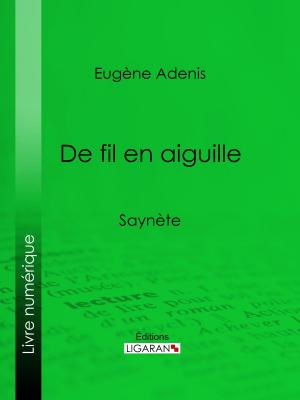 Cover of the book De fil en aiguille by Jules Barthélemy-Saint-Hilaire, Ligaran