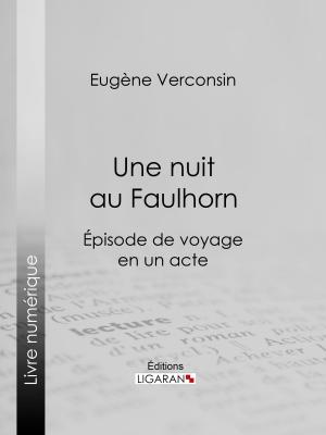 Cover of the book Une nuit au Faulhorn by Emile Souvestre, Ligaran