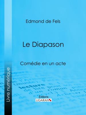 Cover of the book Le Diapason by Guy de Maupassant, Ligaran