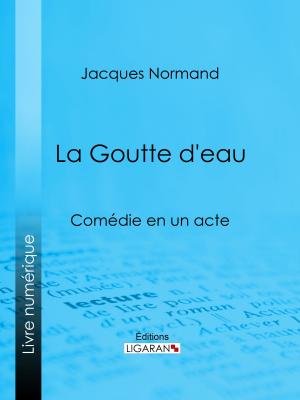 Cover of the book La Goutte d'eau by Charles Monselet, Ligaran