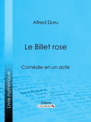 Book cover of Le Billet rose