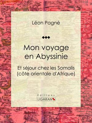 Cover of Mon voyage en Abyssinie
