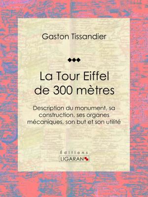 Cover of the book La Tour Eiffel de 300 mètres by Guy de Maupassant, Ligaran
