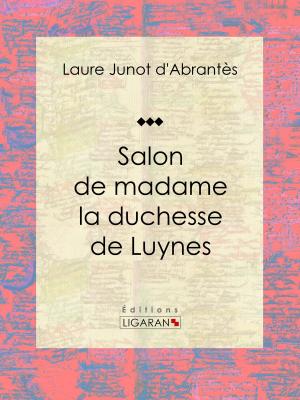 Cover of the book Salon de madame la duchesse de Luynes by Henri de Bornier, Ligaran