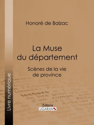 Cover of the book La Muse du département by Charles Derennes, Ligaran