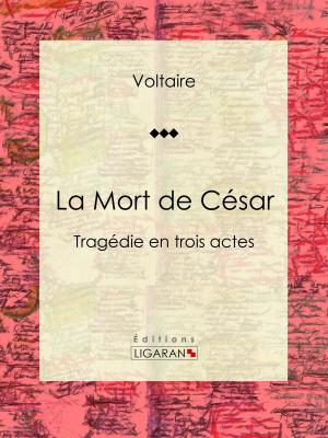 Cover of the book La Mort de César by Jules Gouffé, Ligaran