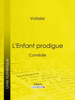 Cover of the book L'Enfant prodigue by Mme Marcel, Ligaran