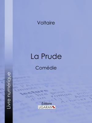 Cover of the book La Prude by Crébillon fils, Guillaume Apollinaire, Ligaran
