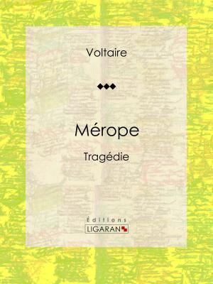 Cover of the book Mérope by Delphine de Girardin, Ligaran
