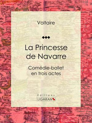 Book cover of La Princesse de Navarre