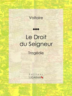 Cover of the book Le Droit du Seigneur by Docteur Lucien-Graux, Ligaran