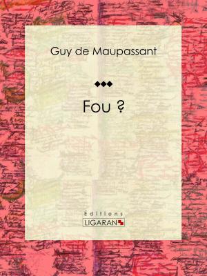 Cover of the book Fou ? by Amédée Gabourd, Ligaran