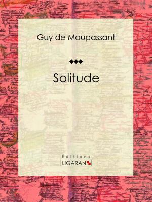 Cover of the book Solitude by Angelo de Sorr, Ligaran