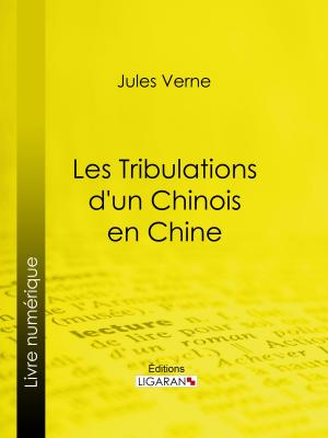 Cover of the book Les Tribulations d'un Chinois en Chine by François Coppée, Ligaran