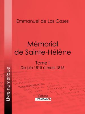 Cover of the book Mémorial de Sainte-Hélène by Guy de Maupassant, Ligaran