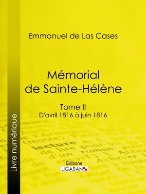 Cover of the book Mémorial de Sainte-Hélène by Jake Porter (Author)