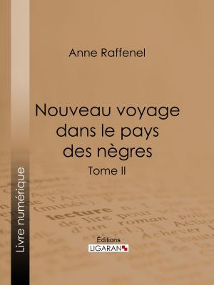 Cover of the book Nouveau voyage dans le pays des nègres by Gyp, Ligaran