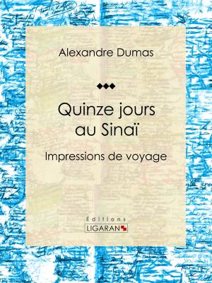 Cover of the book Quinze jours au Sinaï by Daniel A. Roberts