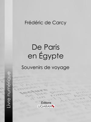 Cover of the book De Paris en Égypte by Anonyme, Ligaran