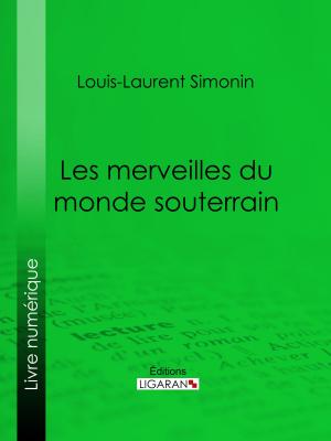 Book cover of Les merveilles du monde souterrain