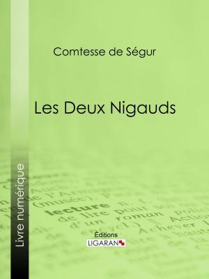 Cover of the book Les deux nigauds by Jean-Jacques Ampère, Ligaran