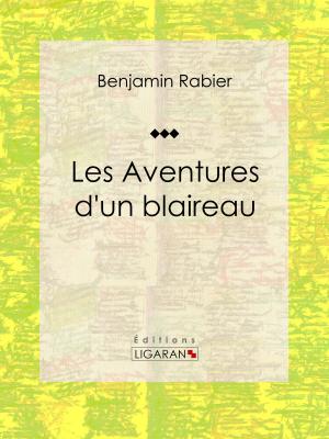 Book cover of Les Aventures d'un blaireau