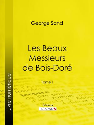Book cover of Les Beaux Messieurs de Bois-Doré