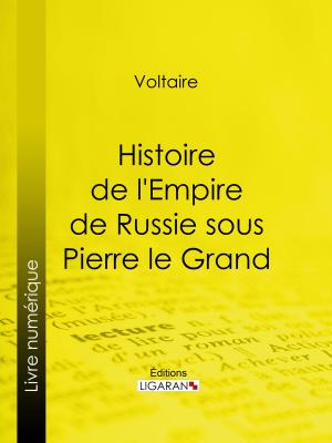 Book cover of Histoire de l'Empire de Russie sous Pierre le Grand