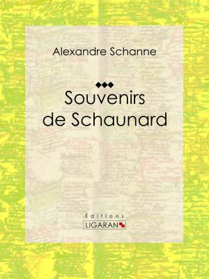 Cover of the book Souvenirs de Schaunard by Gustave Geffroy, Ligaran