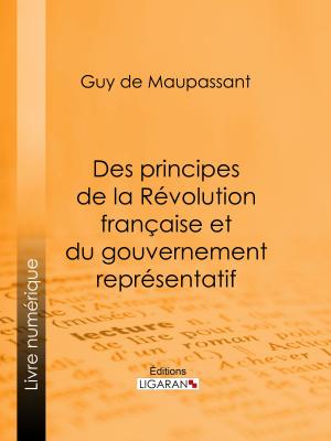 Cover of the book Des principes de la Révolution Française et du gouvernement représentatif by Aimé-Jean Linas, Ligaran