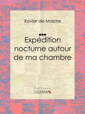 Cover of the book Expédition nocturne autour de ma chambre by Ernest Daudet, Ligaran