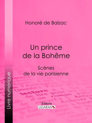 Cover of the book Un prince de la Bohême by Eugène Roger de Beauvoir fils, Ligaran