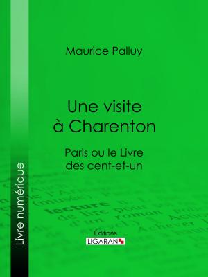 Cover of the book Une visite à Charenton by Eugène Labiche, Ligaran