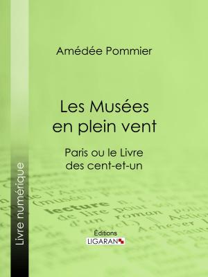 Cover of the book Les Musées en plein vent by Paul Bourget, Ligaran