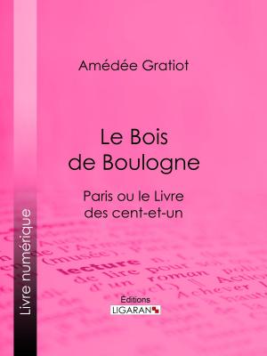 Cover of the book Le Bois de Boulogne by Émile Goudeau, Ligaran