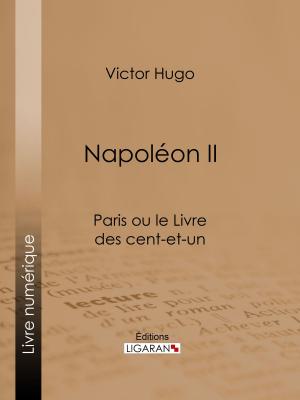 Cover of the book Napoléon II by Étienne de Jouy, Ligaran