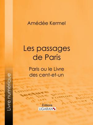 Cover of the book Les passages de Paris by Charles Letourneau, Georges Papillault, Ligaran