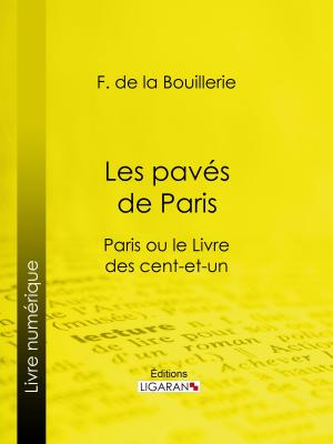 Book cover of Les pavés de Paris