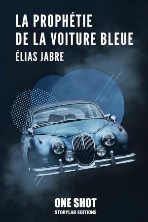 Cover of the book La prophétie de la voiture bleue by Richard Fremder
