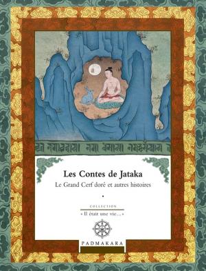 Cover of the book Les Contes de Jataka - Volume I by Katie Cash