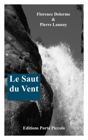 Book cover of Le Saut du Vent
