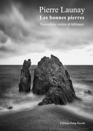 Book cover of Les bonnes pierres