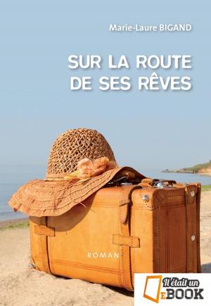 Book cover of Sur la route de ses rêves