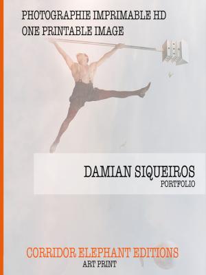 Cover of the book Damian Siqueiros Photography by Roberto Nencini