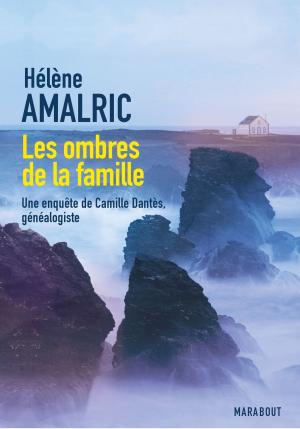 Book cover of Les ombres de la famille
