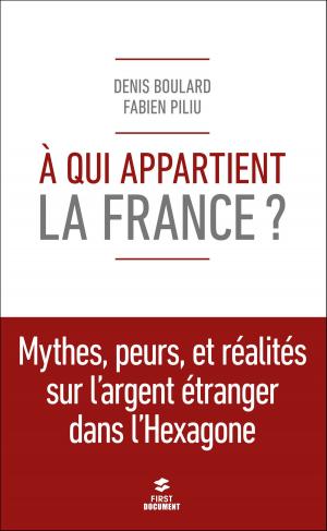 Cover of the book A qui appartient la France ? by Joël MARTIN