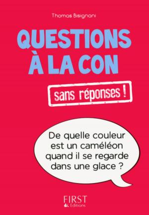 Cover of the book Petit livre de - Questions à la con sans réponses ! by Martine ANDRÉ